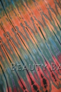 drtmx2012120427865%20(2)