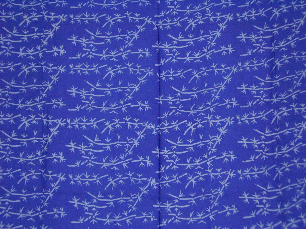 sapbl2007051101936a%20(3)