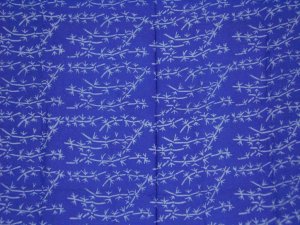 sapbl2007051101936a%20(3)