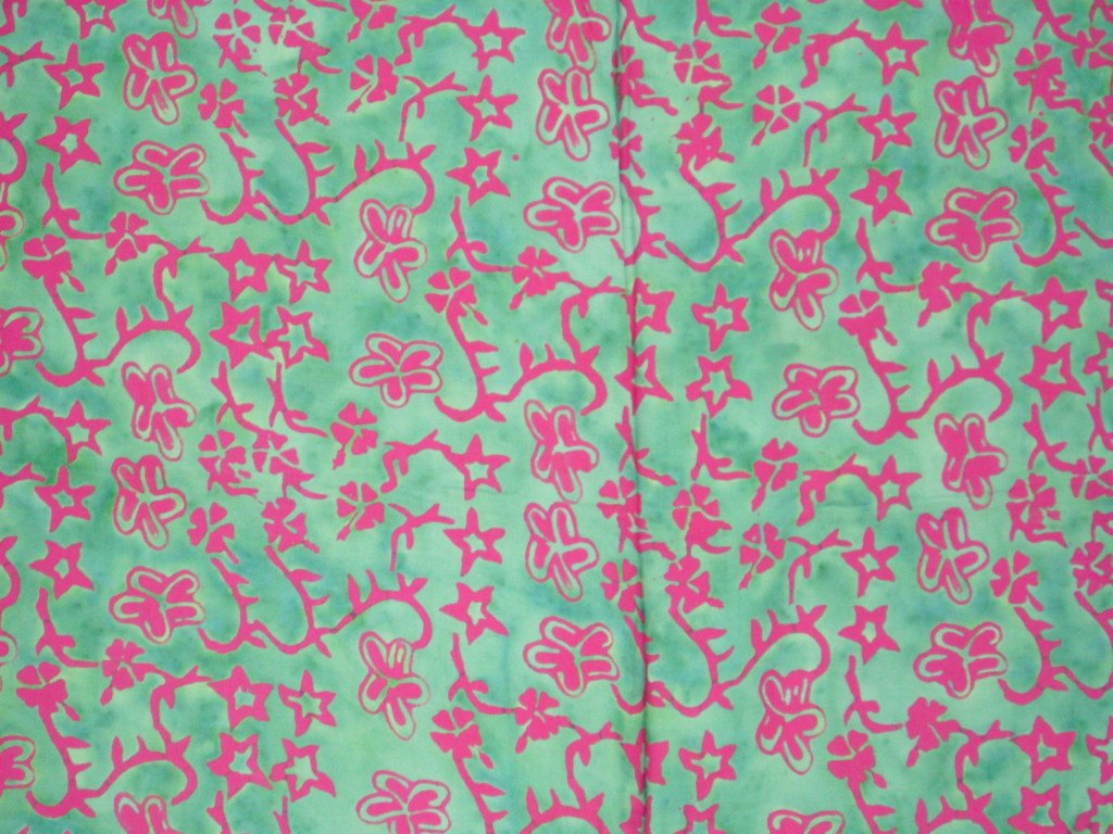 sapgr2007051101947a%20(4)