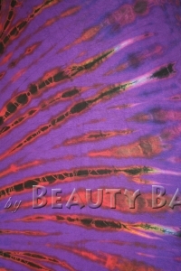 drtpu2013090231491%20(2)