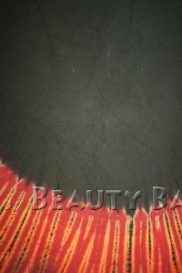 totbc2014041833519%20(2)