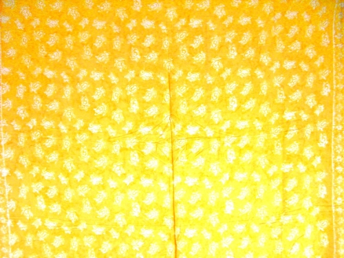 sapye2007062902240a%20(4)