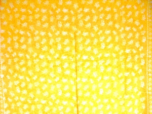 sapye2007062902240a%20(4)