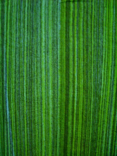 pongr2007072702369%20(4)