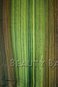 ponmx2015080837983%20(2)