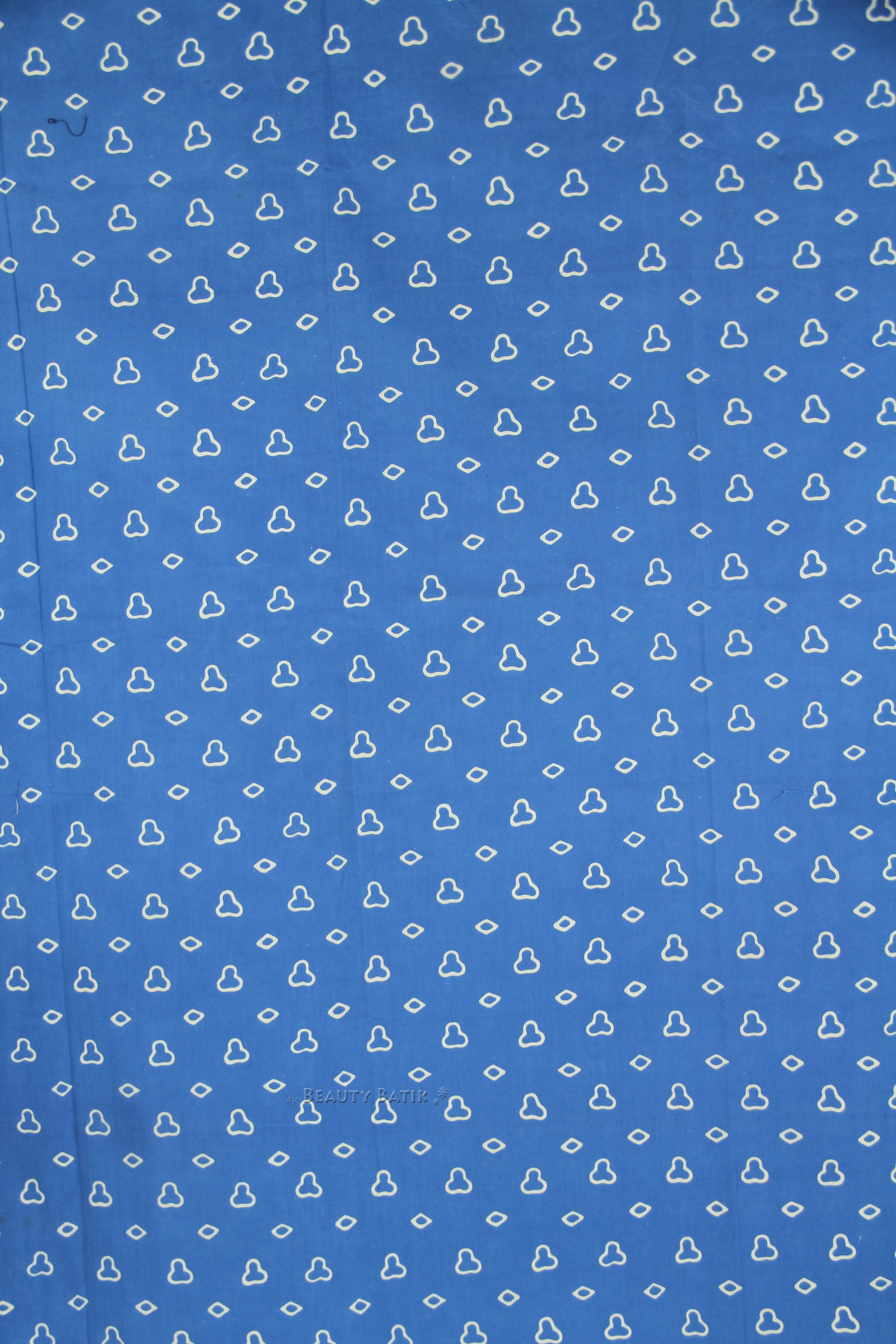 kppbl202005010109532b