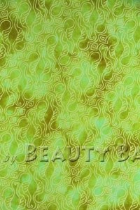 popol202101020124140b