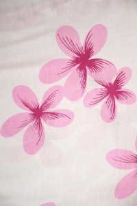 popwh2007112303285%20(1)