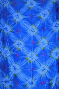 satbl2008022703728%20(1)