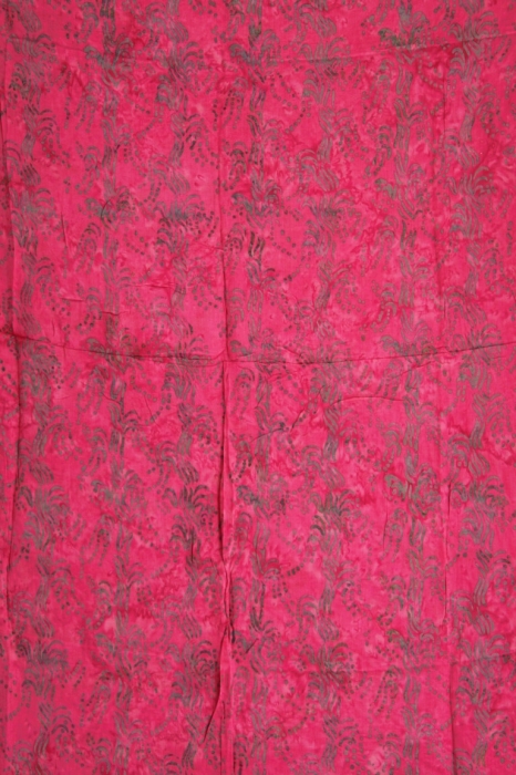 sapfu2008041904074%20(1)