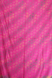 sapfu2008081205059%20(1)