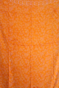 sapor2008081205062%20(1)