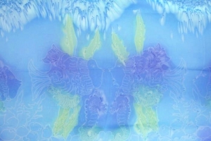 sarbl2009020506223 (1)