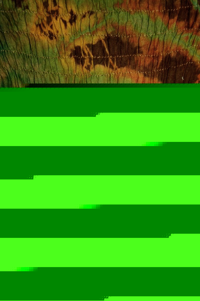 drtbr2009030306498%20(1)