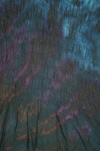 drtdb2009042906993%20(1)