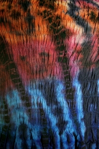 20090522 tie dye dress 0084 