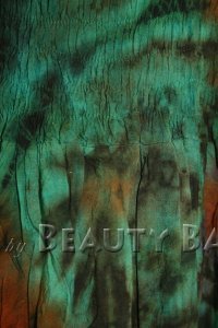 drtbr2009052207594%20(1)