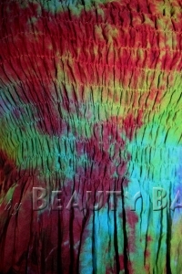 drtfu2009042907556%20(1)