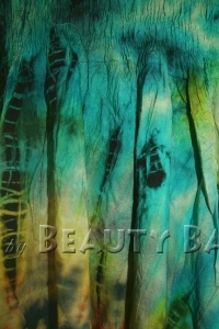 drtbl2009052207888%20(1)