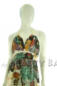 drpcr2009071008290a%20(1)