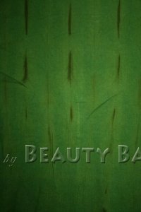 potgr2009073008620%20(1)