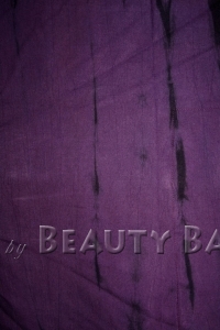 potpu2009073008635%20(1)