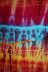 drtrd2009081508738%20(1)