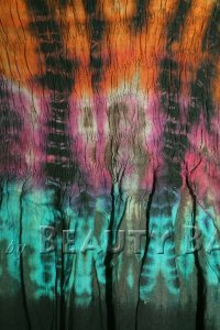 drtbc2009081509166%20(1)