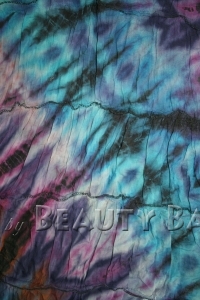 drtpu2009122310249%20(1)