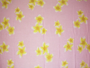 sappi2006082500463c%20(2)