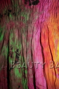 drtpp2010032011275%20(1)