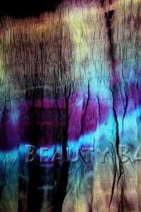 drtpp2010032911473%20(1)