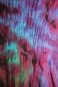 20100329 dress 0098 p7