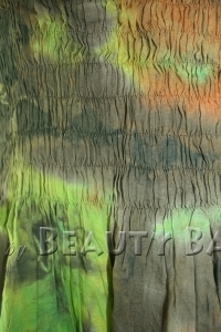 drtmx2010081913539%20(1)