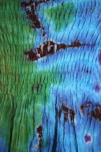 20101116 tie dye fairy dress p3