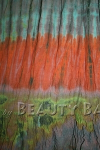 sktgy2011030115193%20(1)