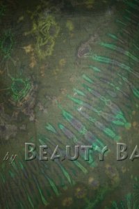 totdg2011102120669%20(1)