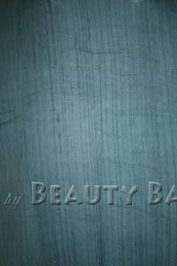 pongy2011112821236%20(1)