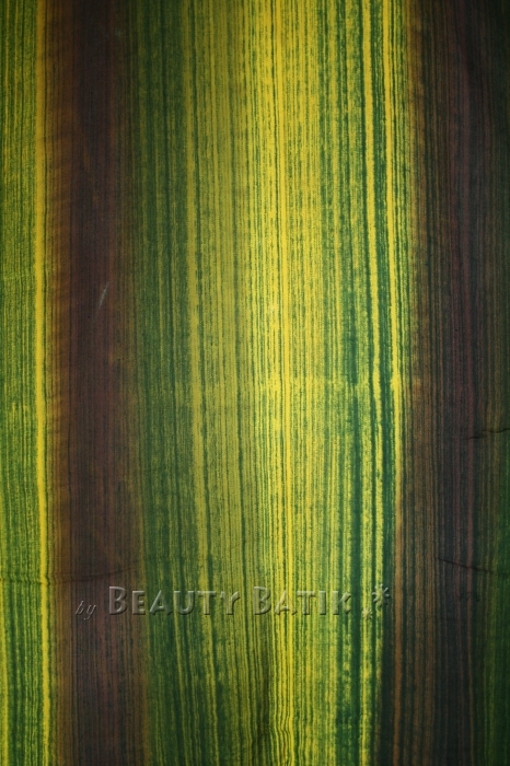 ponbr2012022423003%20(1)