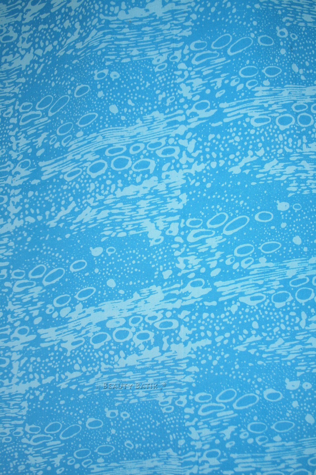 topbl2012022423244%20(1)